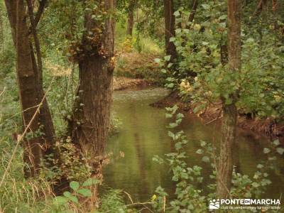 Hoces Río Duratón - Villa Sepúlveda; viajes a medida gente vip grupos pequeños